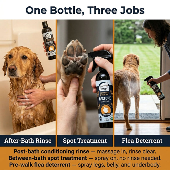 4-Legger RESTORE ACV conditioning rinse — post-bath rinse, between-bath spot treatment, and pre-walk flea deterrent