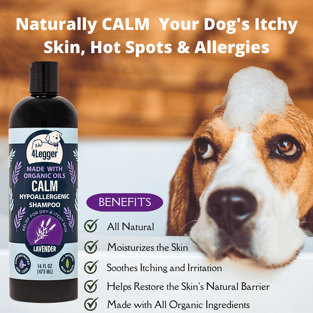 organic dog shampoo for itchy skin