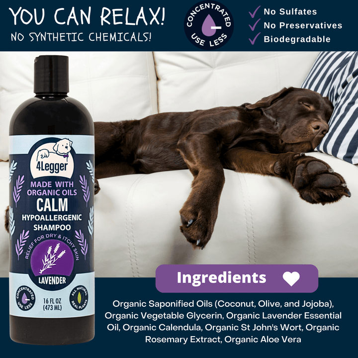 dog shampoo with safe ingredients