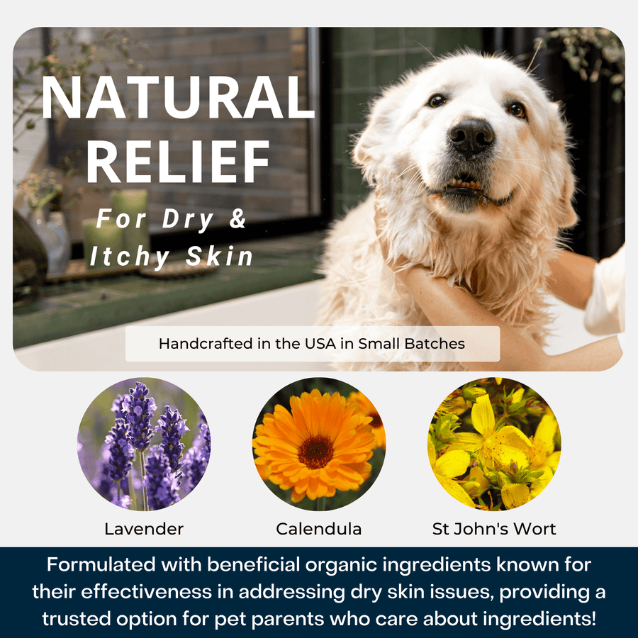 USDA Certified Organic Lavender and Aloe Dog Shampoo by 4Legger