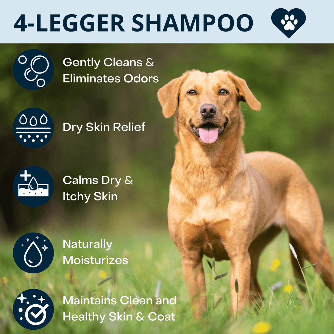 USDA Certified Organic Lavender and Aloe Dog Shampoo by 4 Legger
