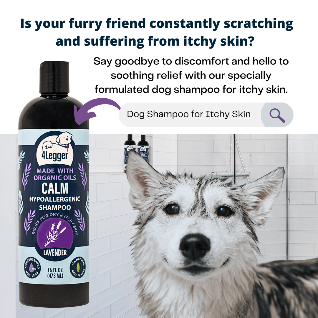 Calming shampoo top for dogs