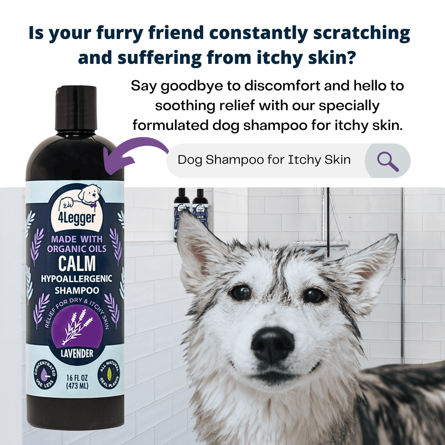 USDA Certified Organic Lavender and Aloe Dog Shampoo by 4Legger