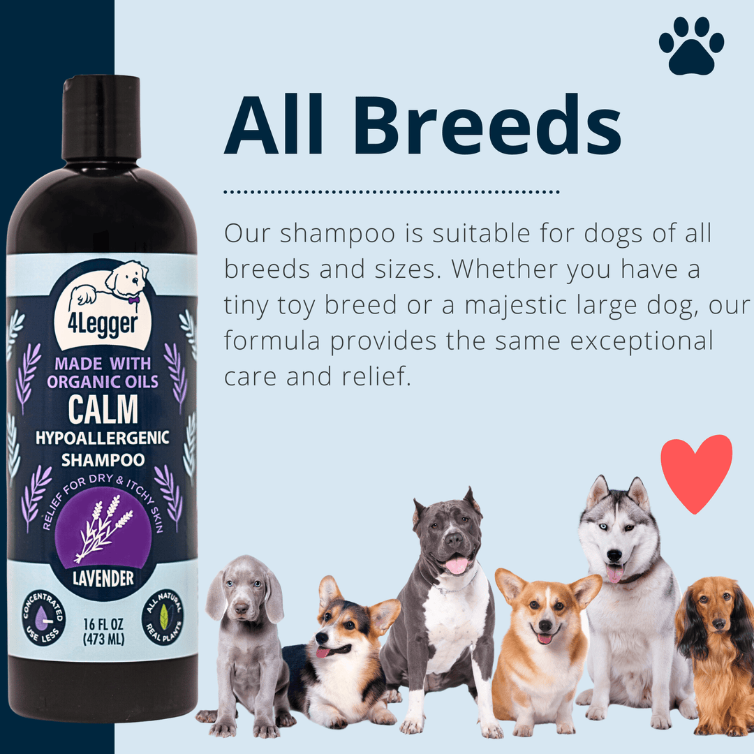 organic dog shampoo for all breeds and all sizes