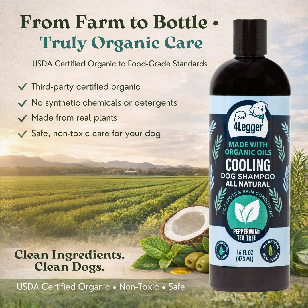 organic dog shampoo for yeast skin