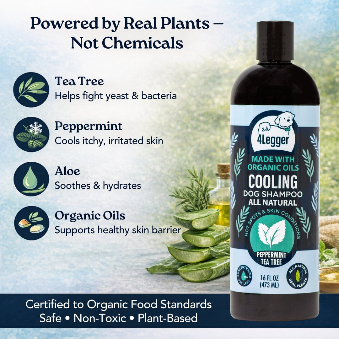 COOLING Natural Tea Tree Oil Dog Shampoo with Peppermint