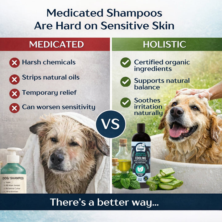 holistic medicated dog shampoo