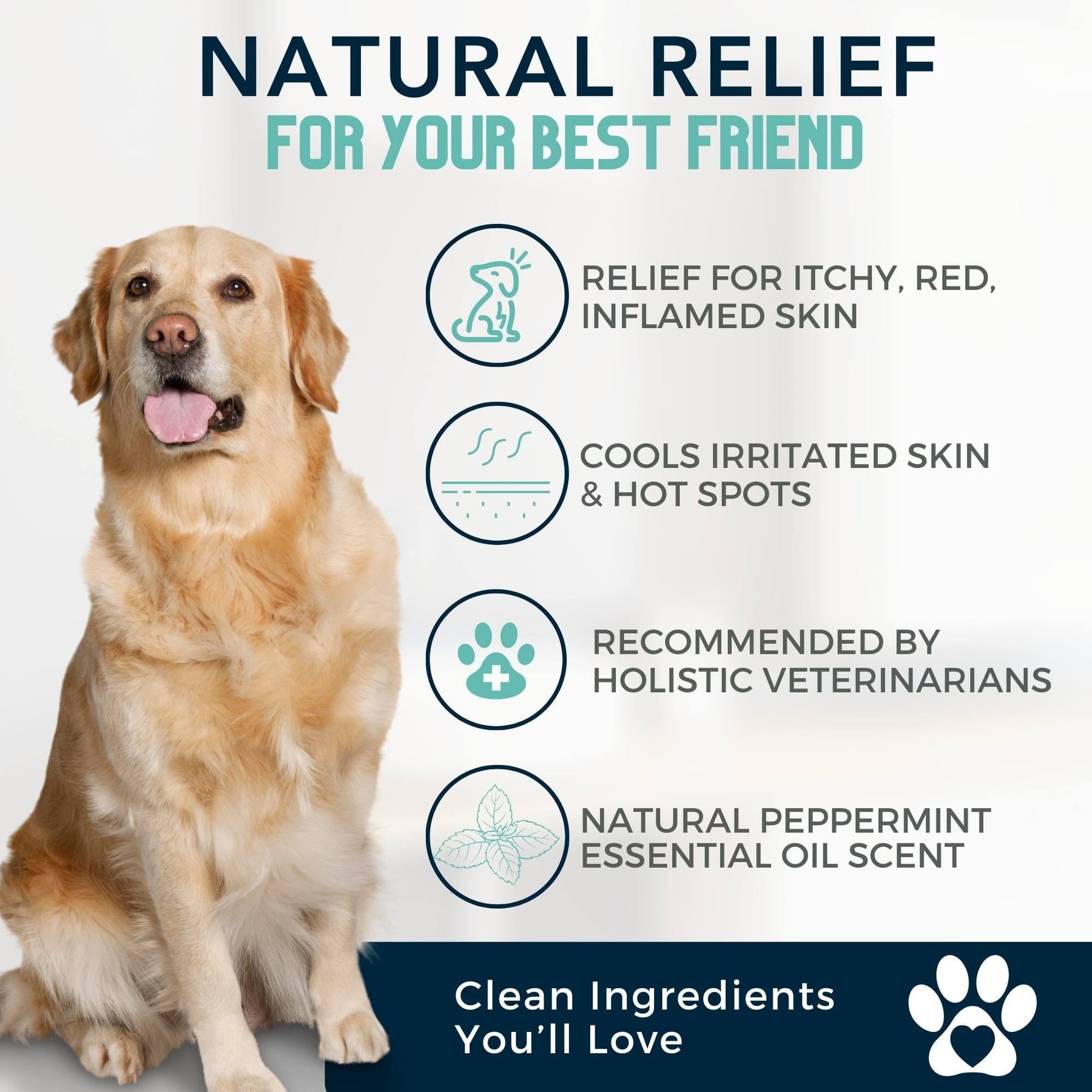 Natural Steroid for Dogs: Boost Your Pet's Health Naturally