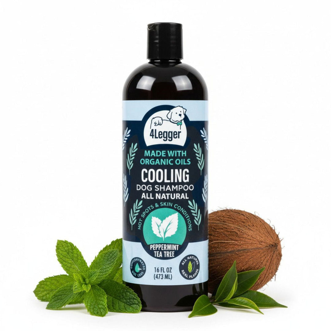 COOLING organic tea tree and peppermint dog shampoo by 4-Legger — 16oz bottle with peppermint sprigs