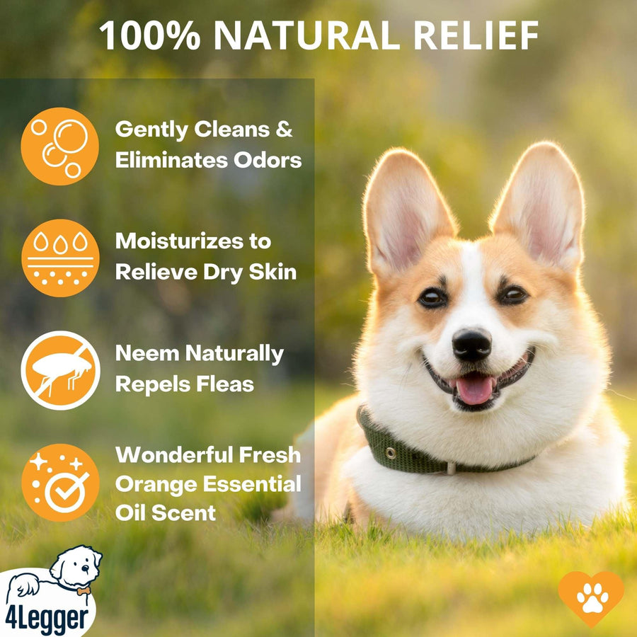 4Legger Organic Neem Dog Shampoo for Flea Allergy Dermatitis