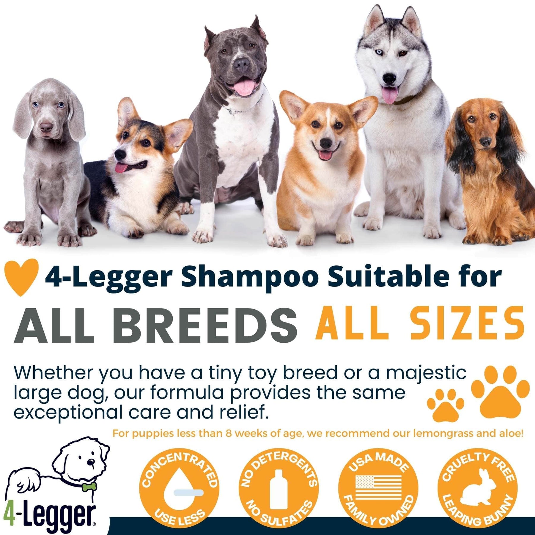 4Legger Organic Neem Dog Shampoo for Flea Allergy Dermatitis