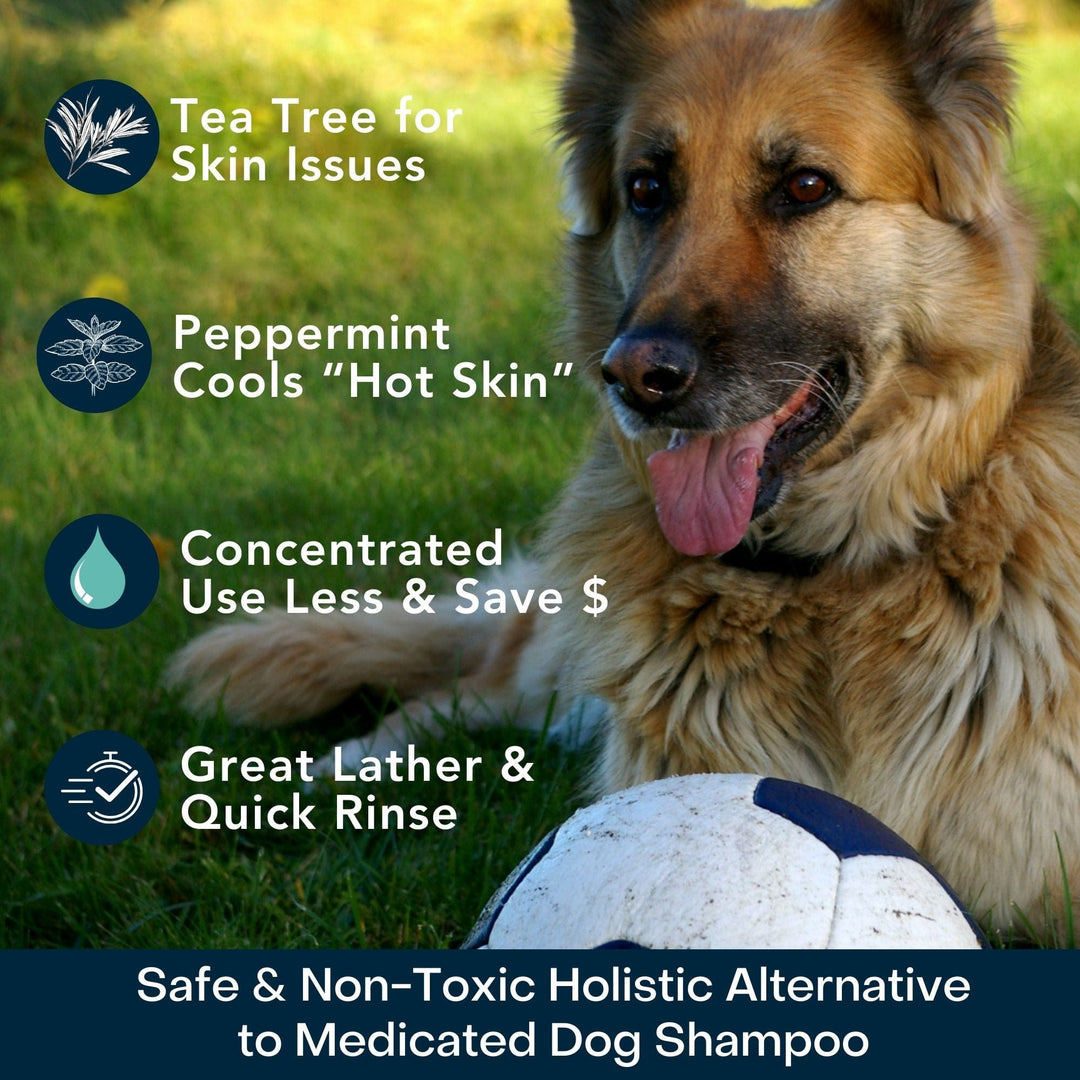 COOLING Natural Tea Tree Oil Dog Shampoo with Peppermint