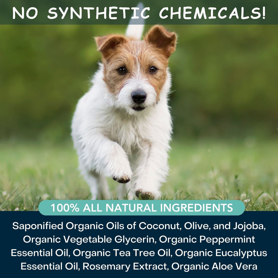 chemical free medicated dog shampoo with tea tree oil
