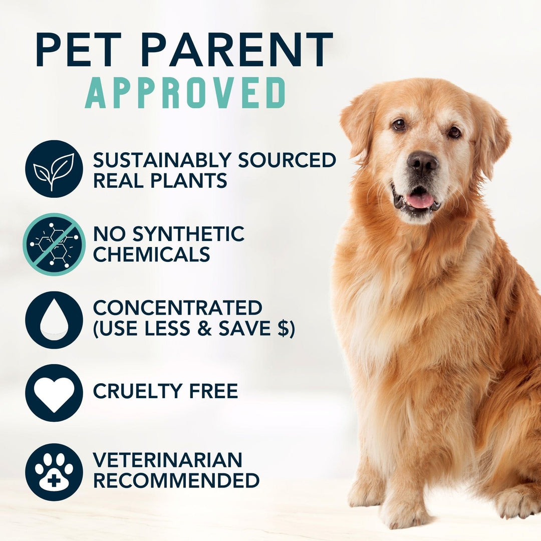 COOLING Natural Tea Tree Oil Dog Shampoo with Peppermint
