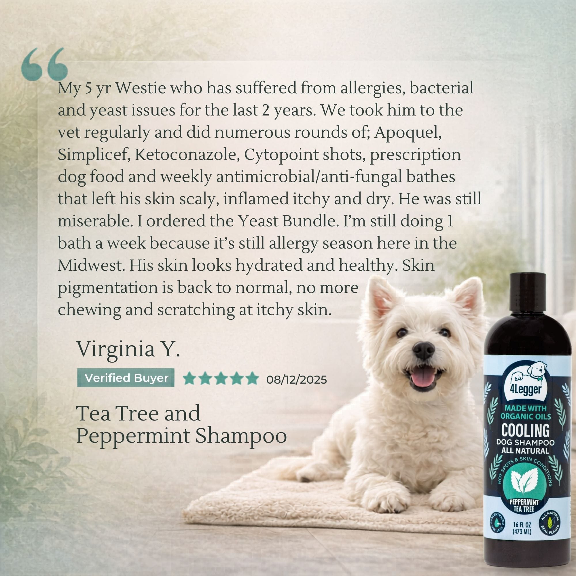 Dog Luck! PRO Treatment & Pro Rinse 4L お手入れ・トリミング用品