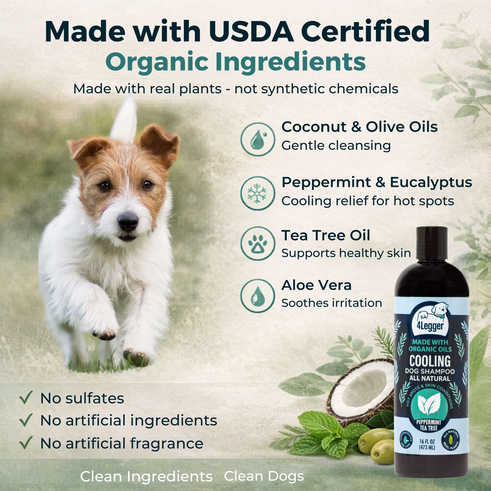 4-Legger Organic Tea Tree Dog Shampoo | Holistic Medicated Alternative