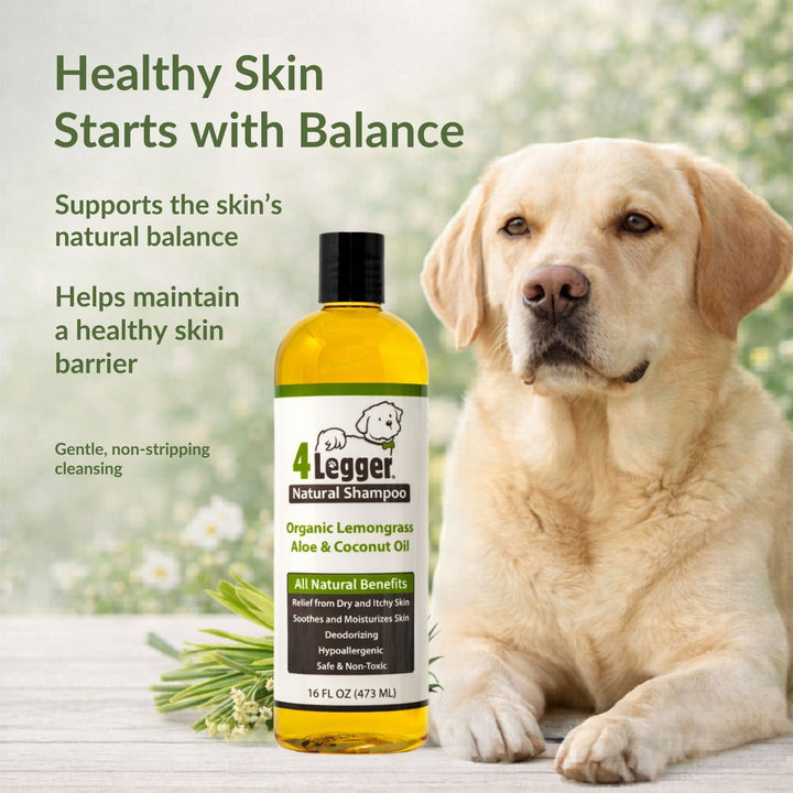 4-Legger organic lemongrass dog shampoo supports healthy skin barrier — gentle, non-stripping cleansing for dogs