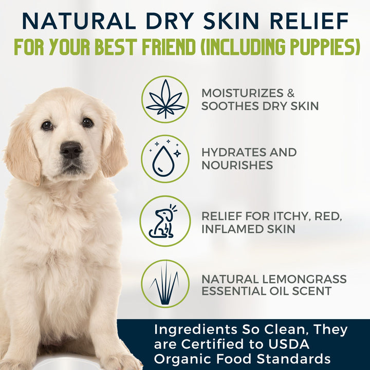 best hypoallergenic dog shampoo sensitive skin
