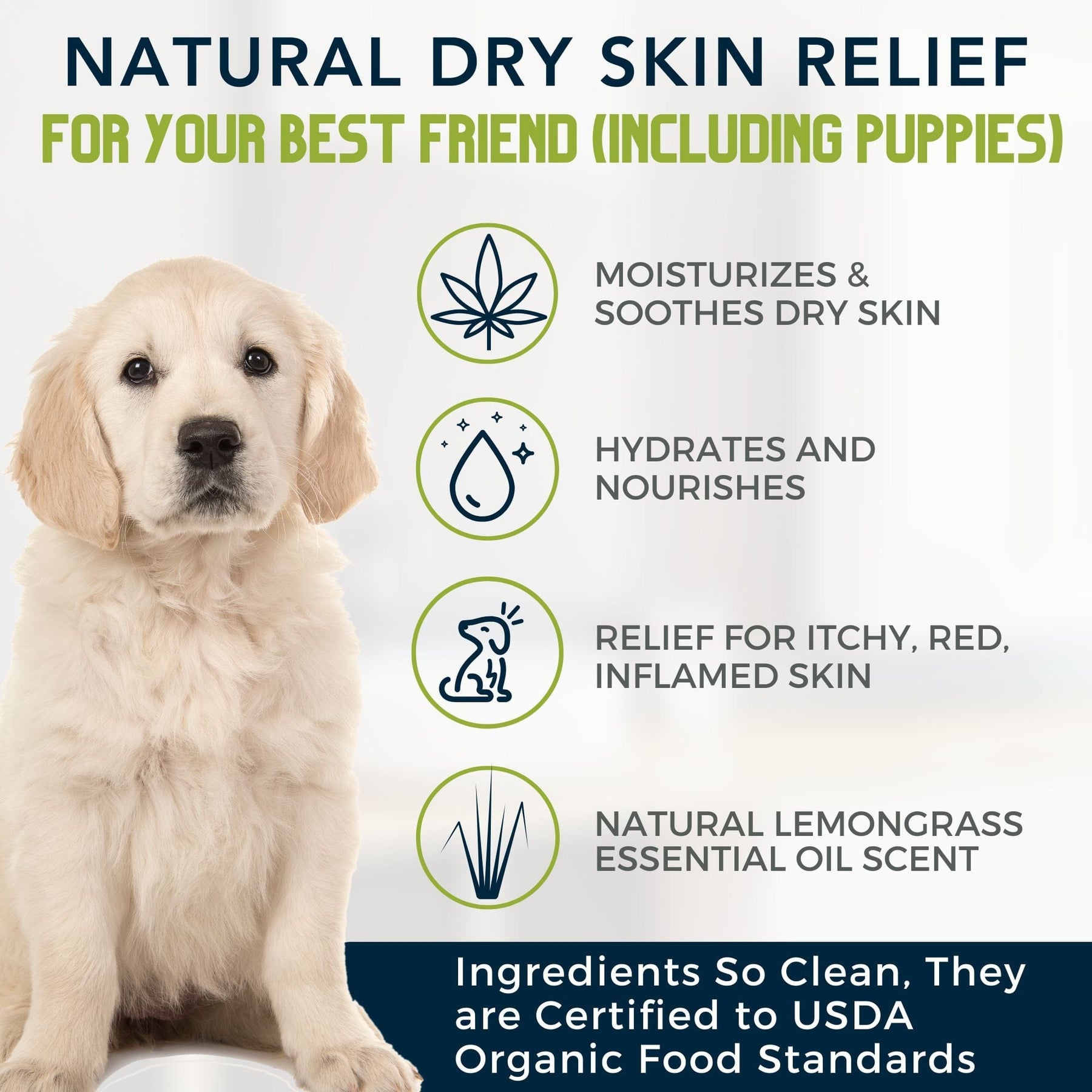 4Legger Moisturize Organic Hemp Dog Shampoo with Lemongrass