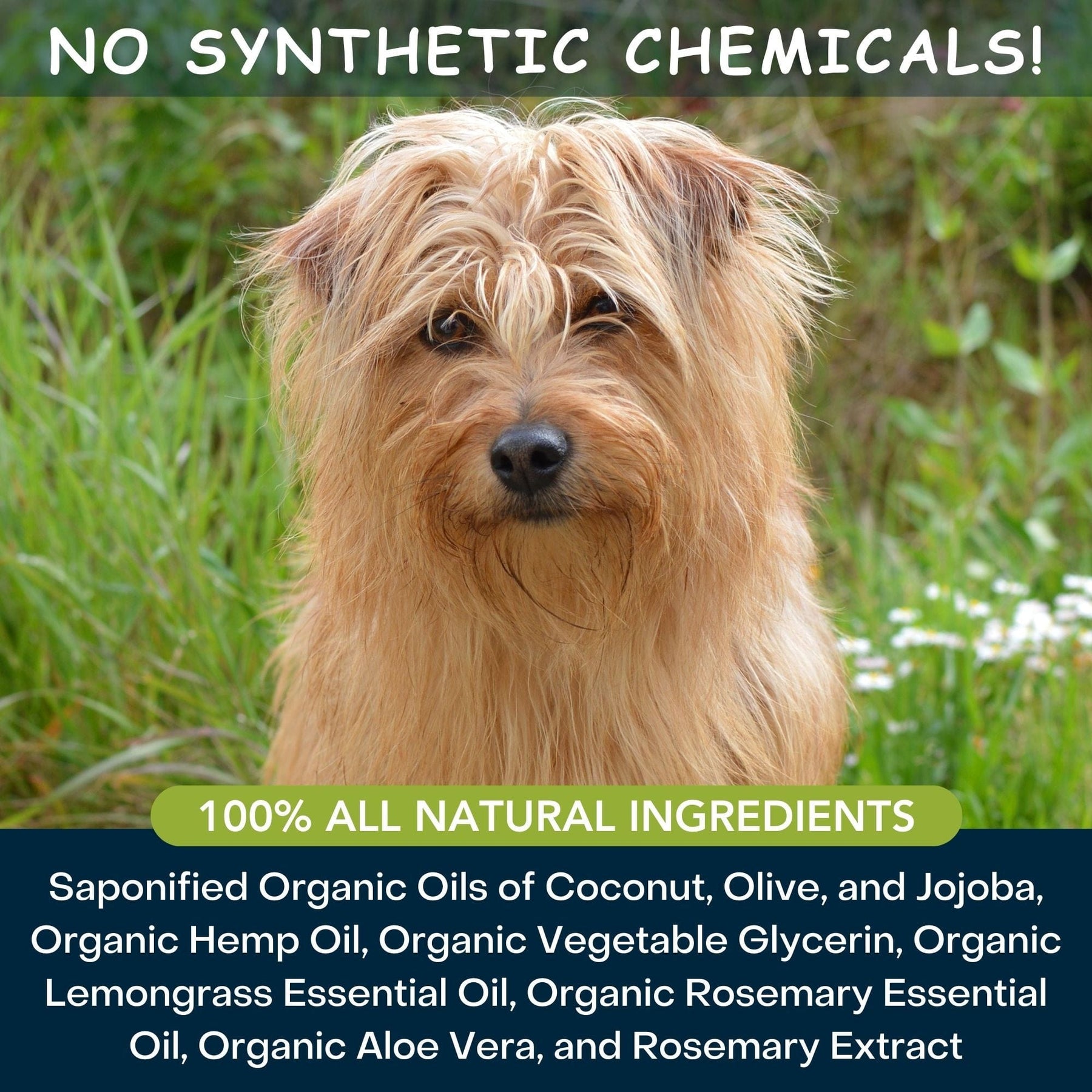4Legger Moisturize Organic Hemp Dog Shampoo with Lemongrass