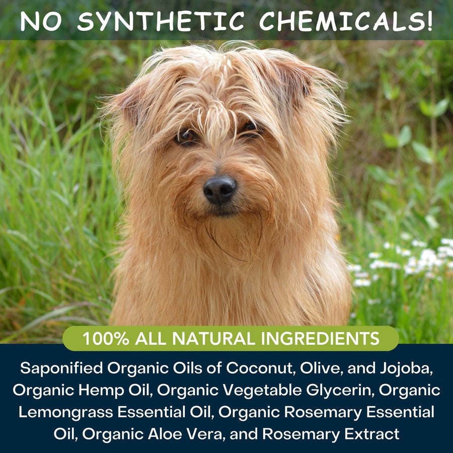 4Legger Moisturize Organic Hemp Dog Shampoo with Lemongrass