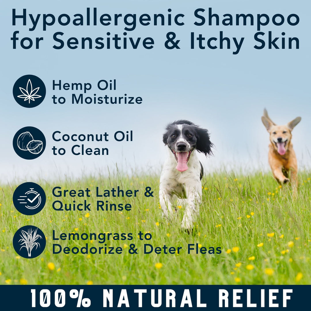 Organic Dog Shampoo | Hemp Oil Dog Shampoo Dry Skin