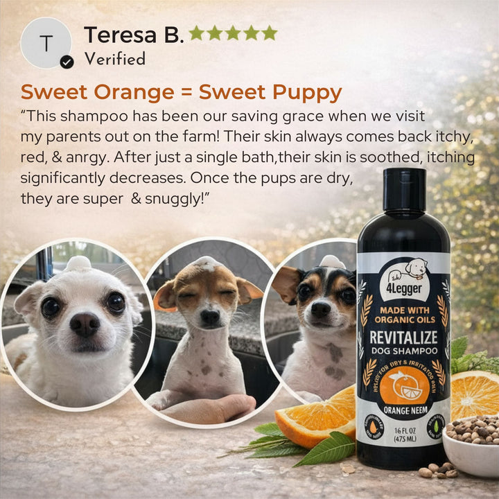 4-Legger REVITALIZE verified 5-star customer review — Teresa B. and her dogs