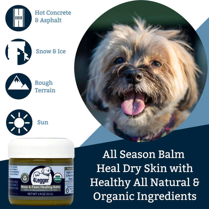 4-Legger all season organic dog paw wax protects against hot pavement snow ice and rough terrain