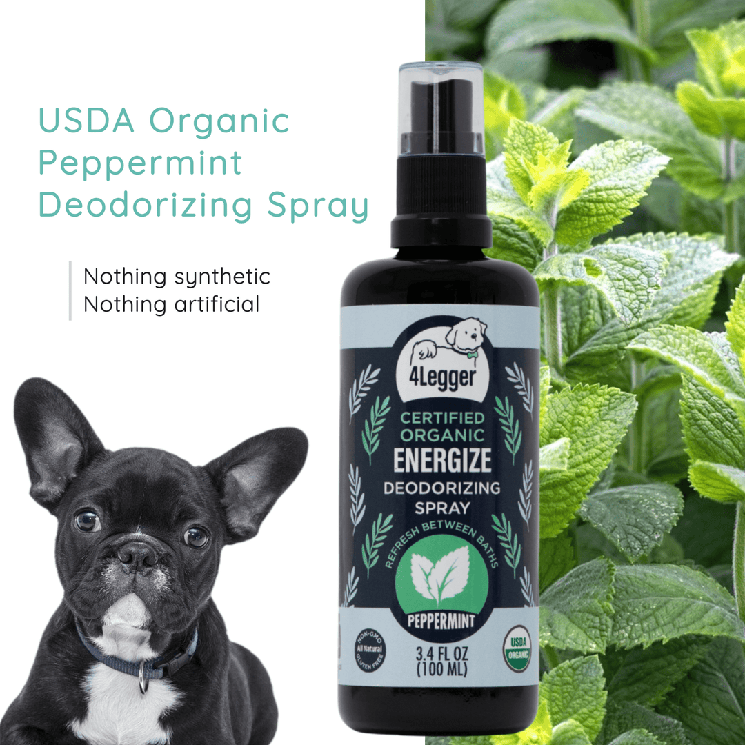 Organic Dog Deodorizing Spray by 4Legger