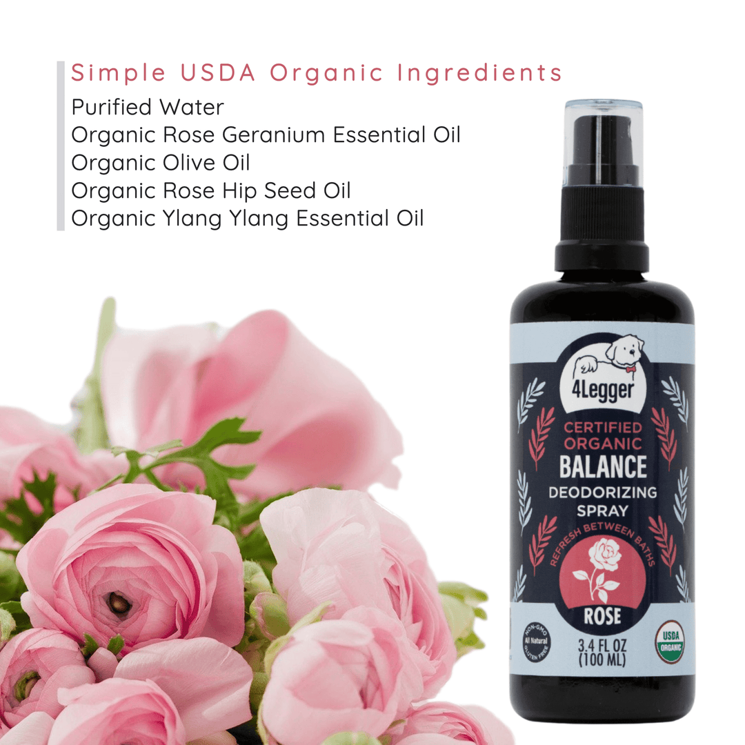 organic dog deodorizing spray in between baths