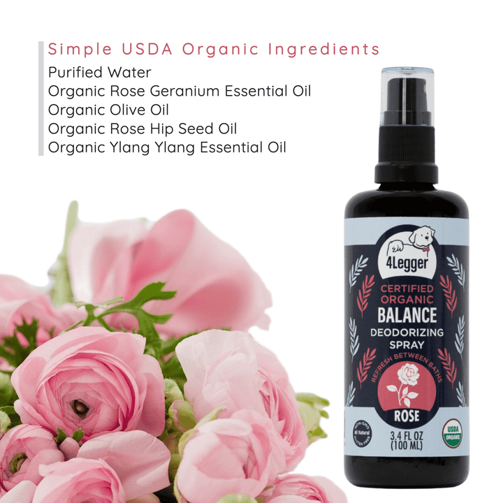 organic dog deodorizing spray in between baths