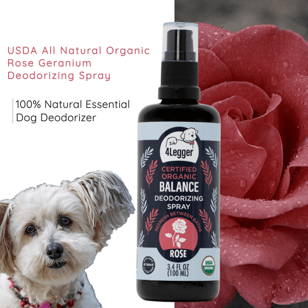 USDA Certified Organic Rose Dog Deodorizing Spray Balance 4Legger