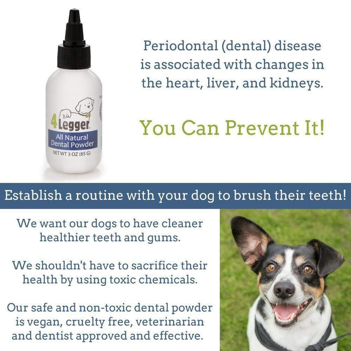 Vegan Dog Toothpaste | non-toxic dog toothpaste