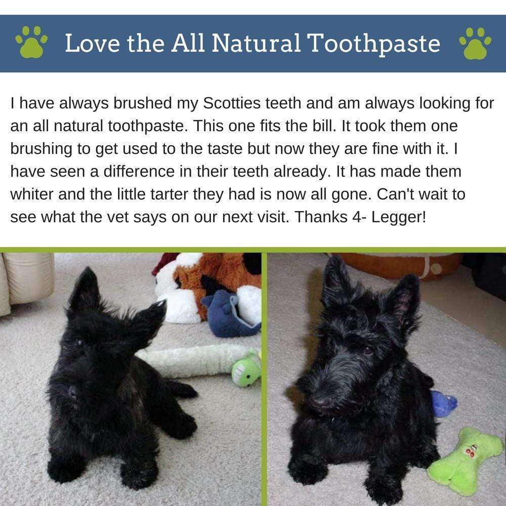Mint Fresh All Natural Dental Powder Safe & Non-Toxic Vegan Dog Toothpaste Alternative