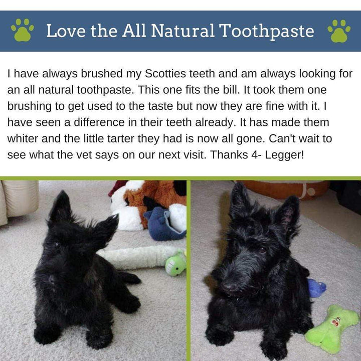 Vegan Dog Toothpaste Alternative Safe and Non-Toxic | vegan dog toothpaste