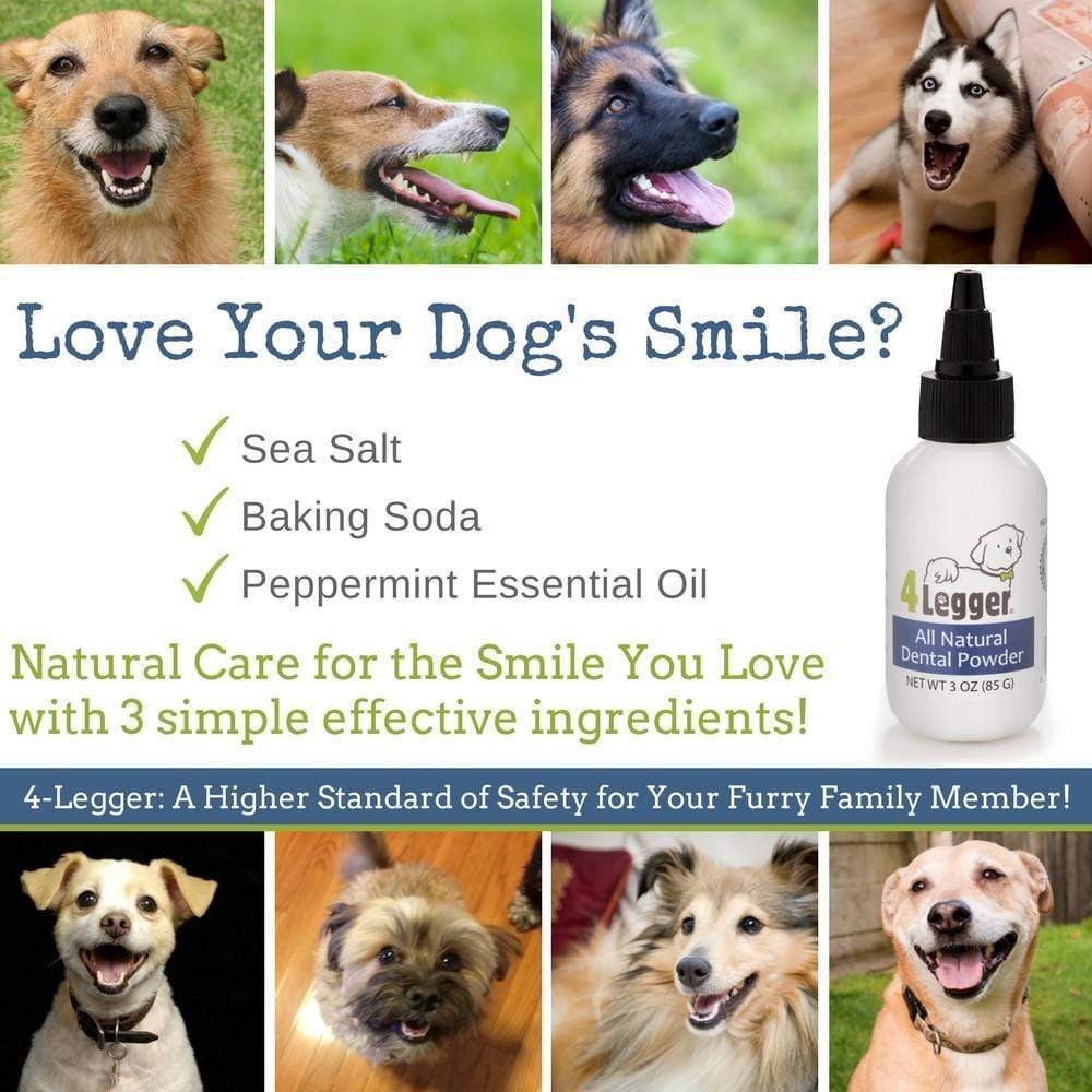 Mint Fresh All Natural Dental Powder Safe & Non-Toxic Vegan Dog Toothpaste Alternative