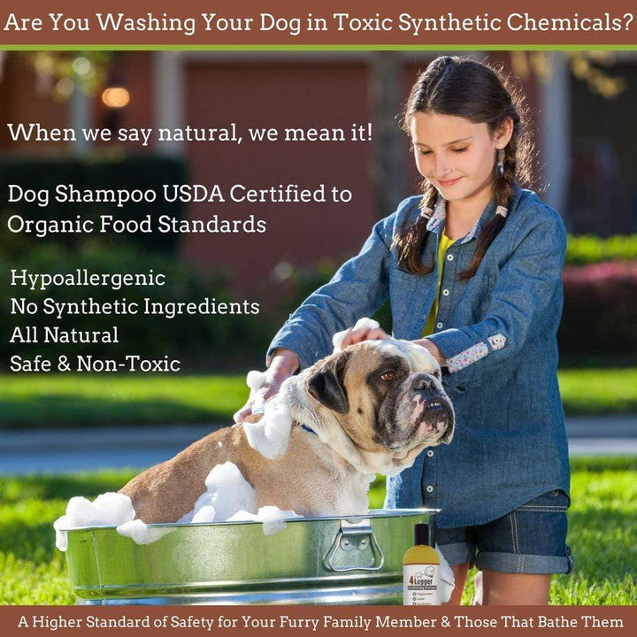 Cedar Peppermint Eucalyptus Certified Organic Dog Shampoo | best organic dog shampoo