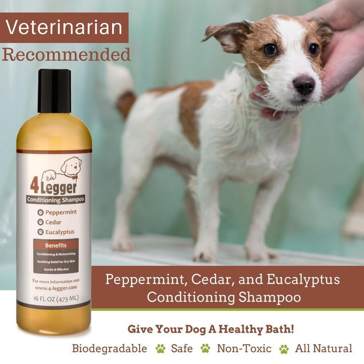 Cedar Peppermint Eucalyptus Certified Organic Dog Shampoo | cedar dog shampoo