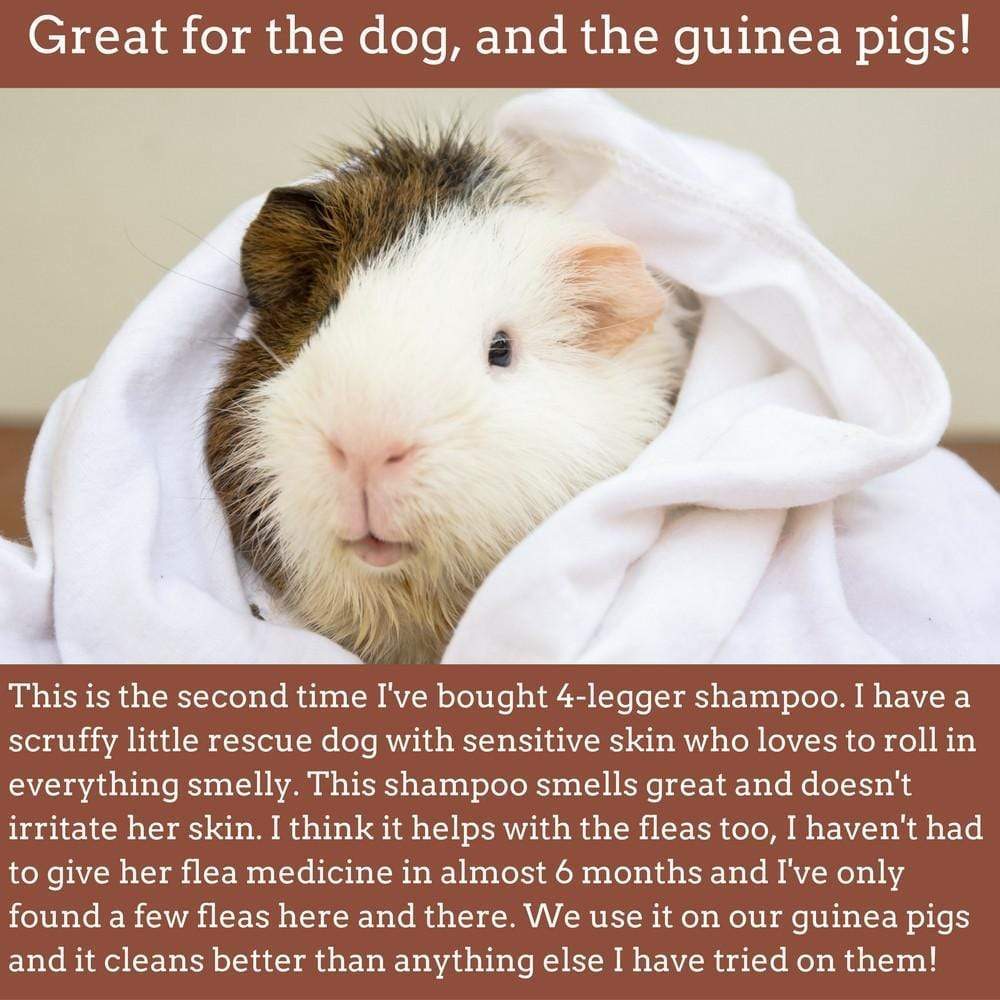 Guinea Pig Safe Organic Shampoo | Organic Dog Shampoo | natural flea cedar dog shampoo