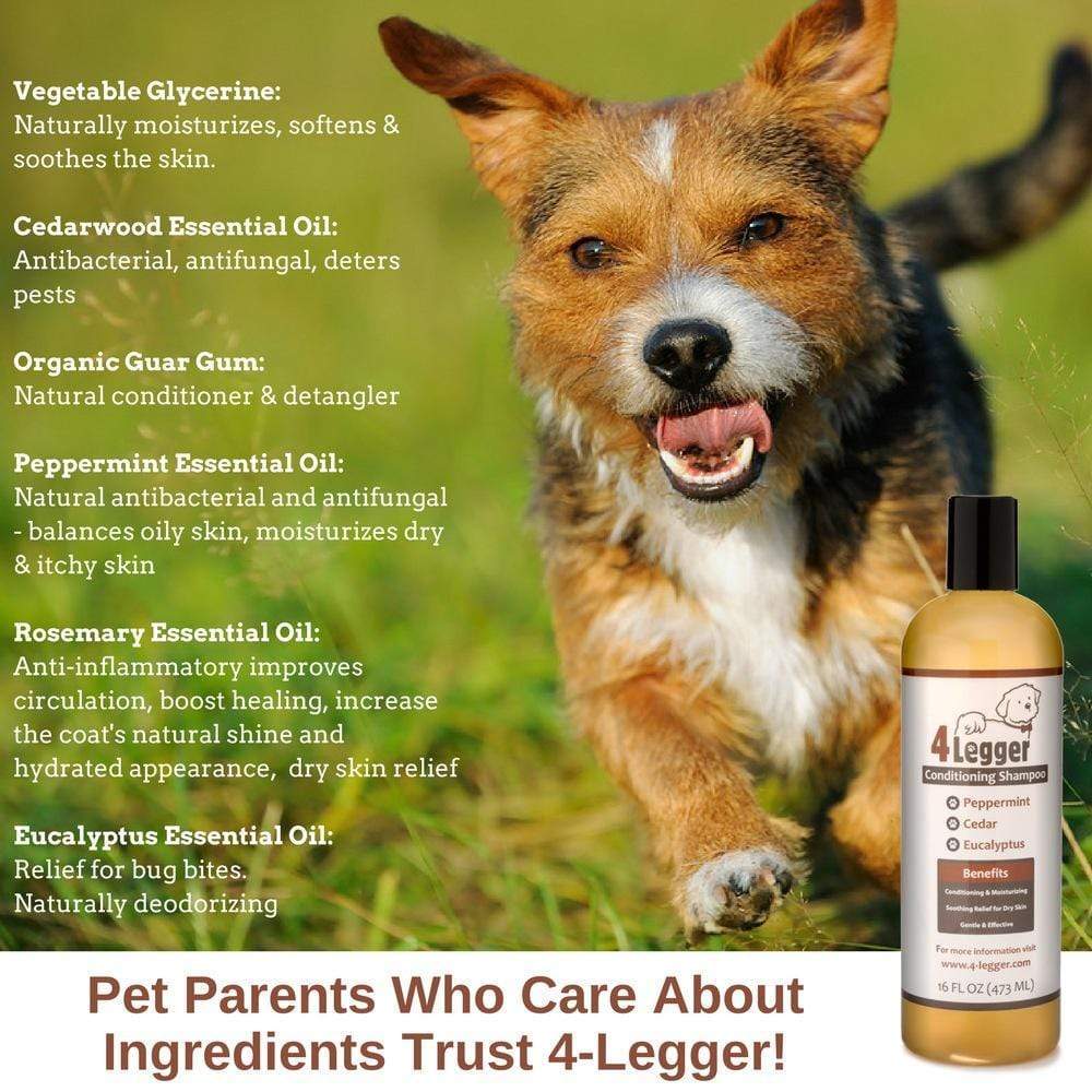 Cedar Peppermint Eucalyptus Certified Organic Dog Shampoo | all natural dog shampoo