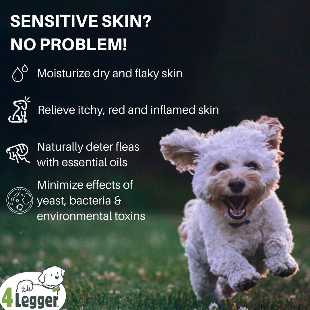 chemical free dog shampoo | organic dog shampoo | hypoallergenic dog shampoo