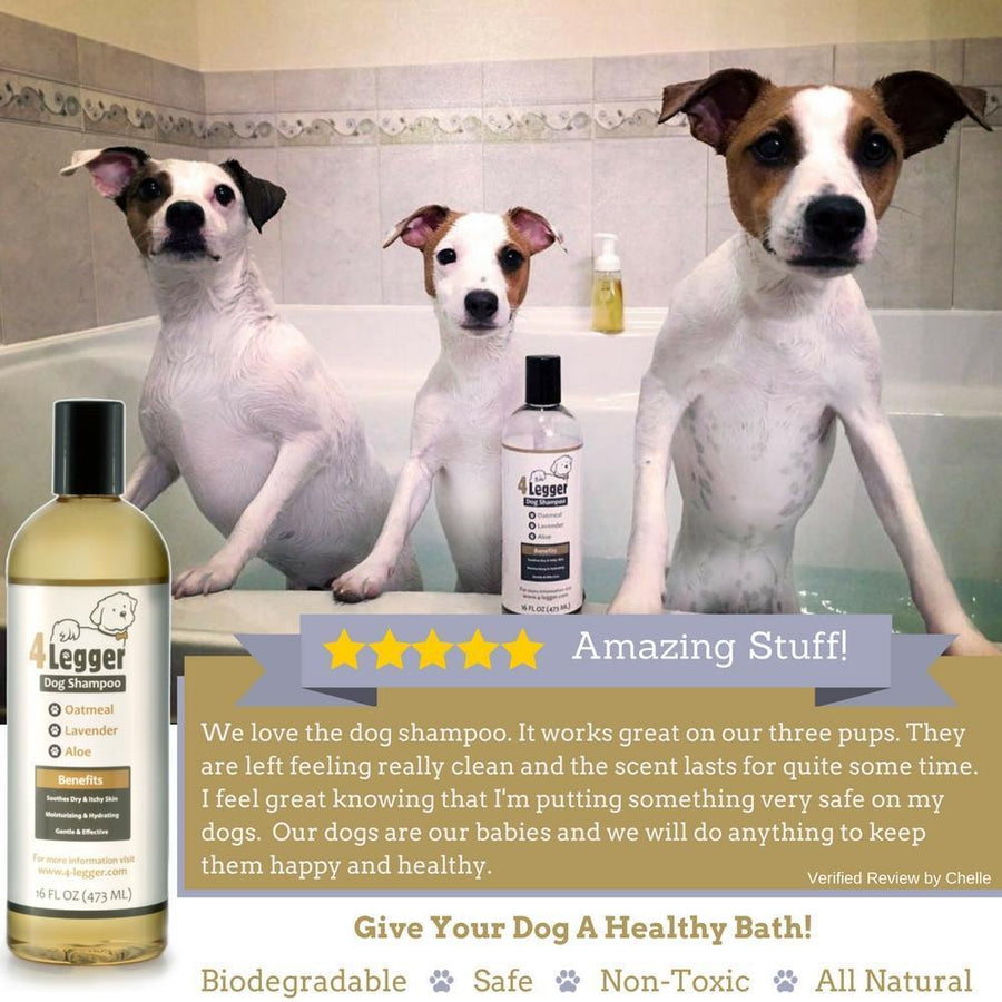 Curated visual reference: Natural Dog Shampoos For Itching And Scratching Reference: 4 Legger Organic Oatmeal Dog Shampoo With Lavender For Itchy