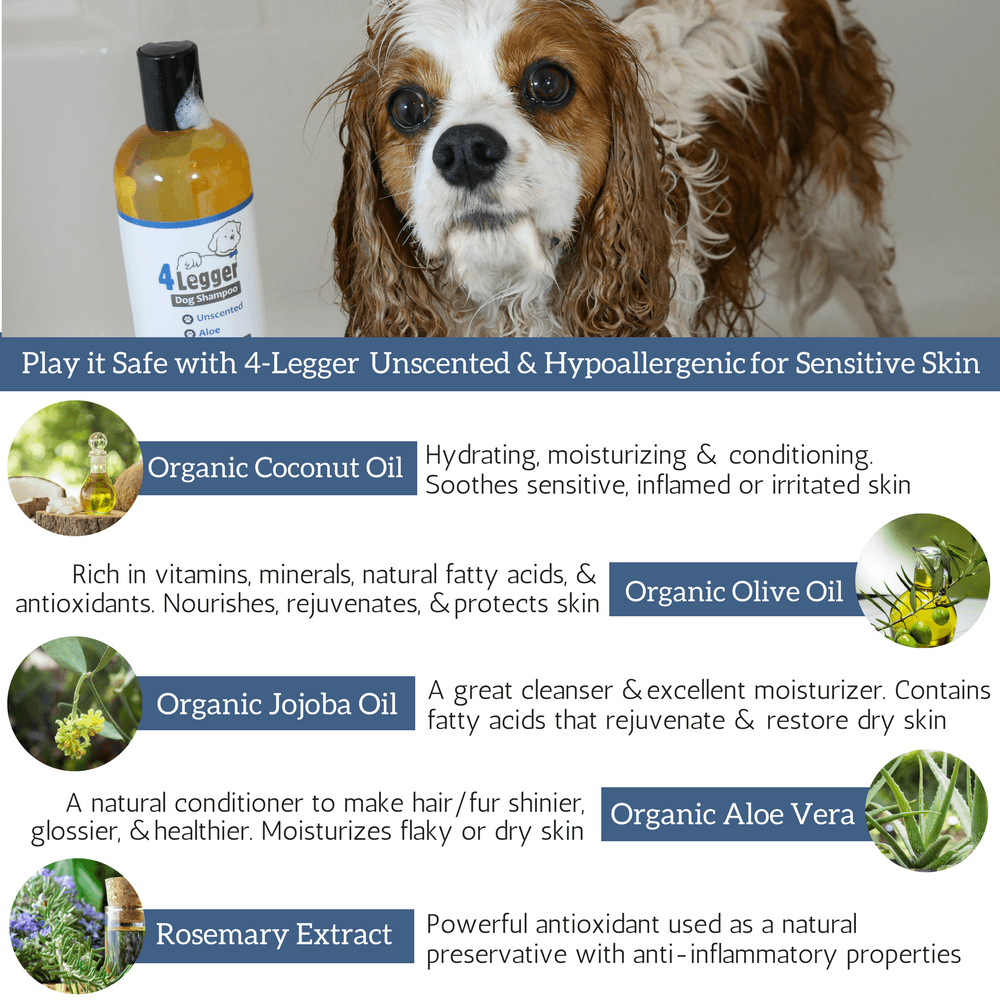 4-Legger Unscented with Aloe Certified Organic Dog Shampoo | natural dog shampoo 