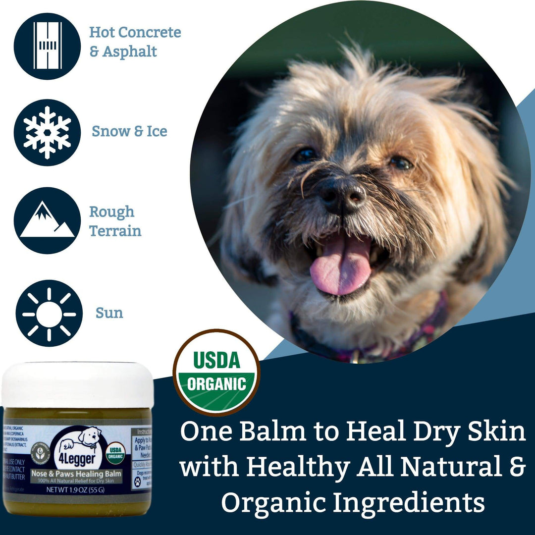 healing paw balm for dog dry skin nose and paws