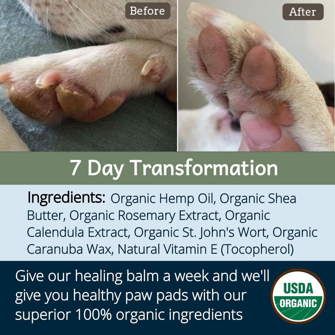 Healing Balm - USDA Certified Organic Healing Balm For Dog Nose And Paw Pads