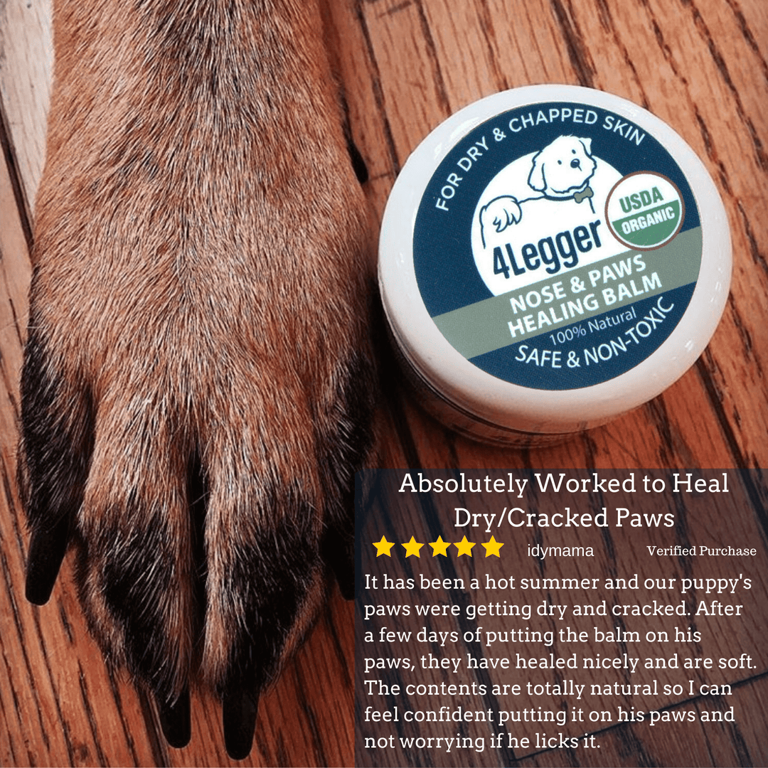 4-Legger Certified Organic Healing Balm for Dog Nose and Paw Pads