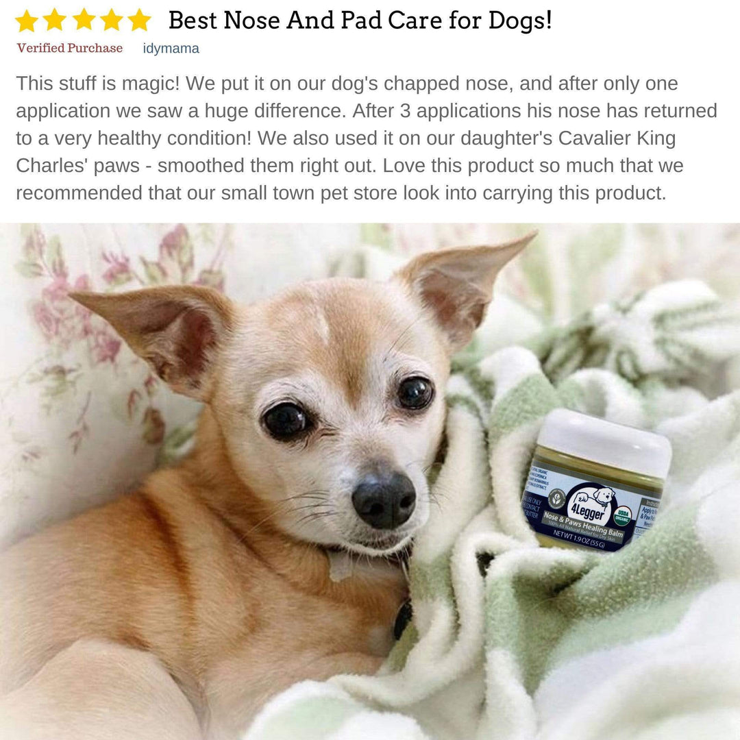 4-Legger Certified Organic Healing Balm for Dog Nose and Paw Pads