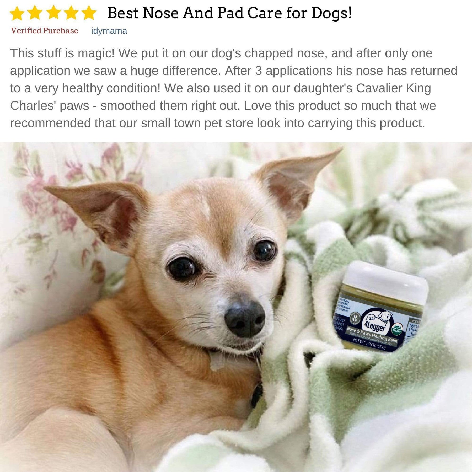 Best paw cream clearance for dogs