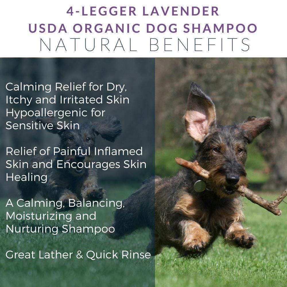 USDA Certified Organic Lavender and Aloe Dog Shampoo by 4Legger