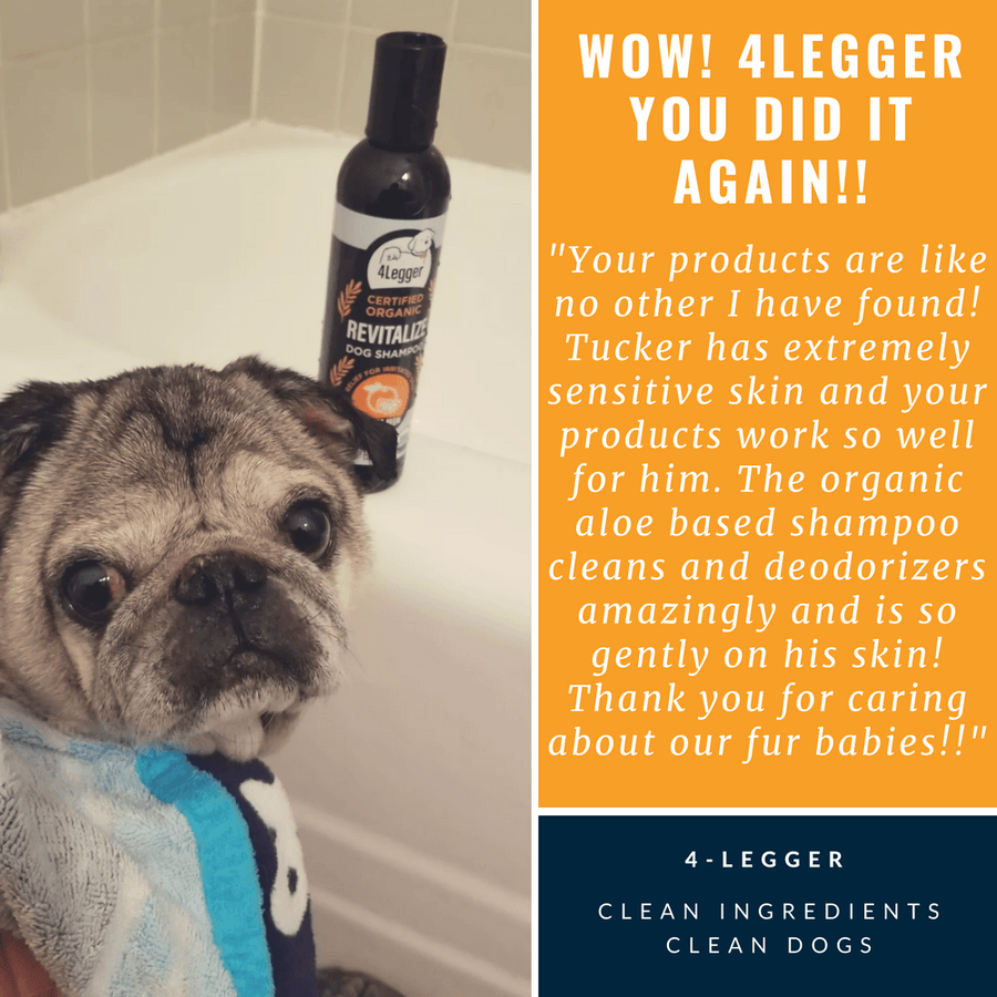 4Legger Organic Neem Dog Shampoo for Flea Allergy Dermatitis